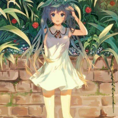 小胖 TTG