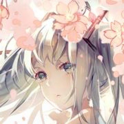 尼泊尔大象被虐事件引中国网友不满